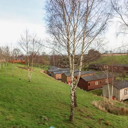 Finnbars * Richmond (North Yorkshire)